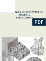 Estructura Microscopica de Maderas Latif