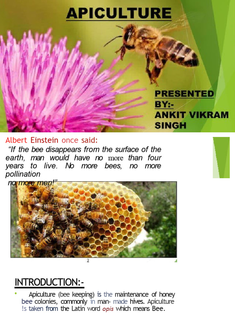 Overview of Apiculture and Beekeeping | PDF
