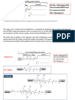 PT LIPO - GL