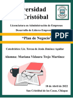 Plan de Negocios