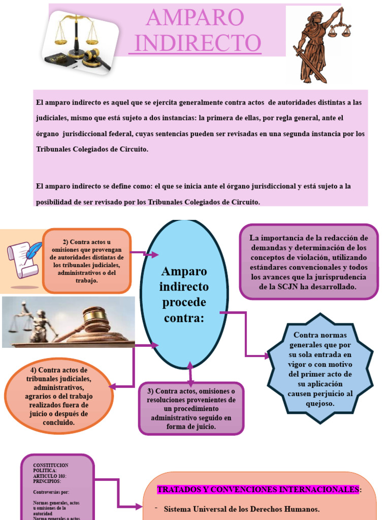Actividad 1 de Infografia de Juicio de Amparo (Completo) 1 | PDF | Caso ...