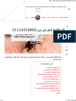 شركة مكافحة النمل في دبي 01114323865 - Dubai Bugs
