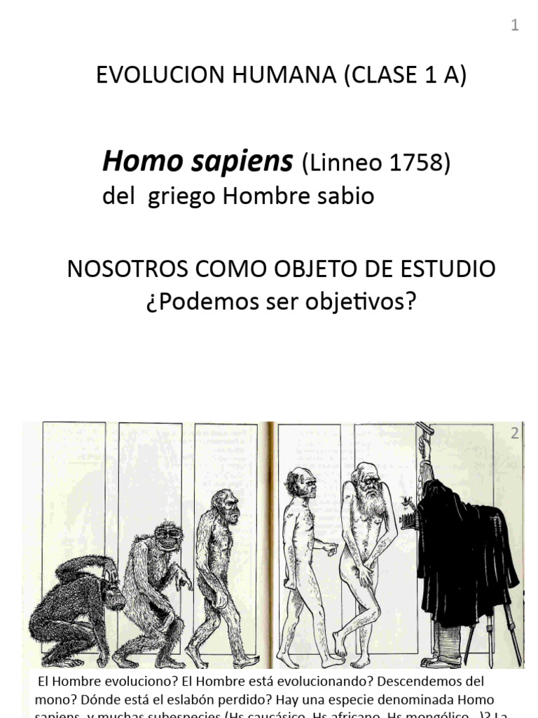 Evolución del Hombre: Clases y Conceptos | PDF | Evolución humana | Homo