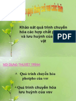 Qua Trinh Chuyen Hoa Photpho Cua Vi Sinh Vat