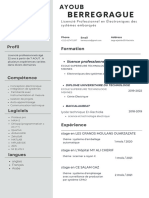 Professional Modern CV Resume