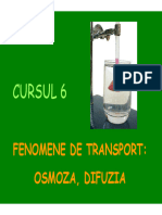 Fenomene de Transport Slides PDF