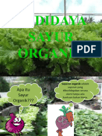 Budidaya Sayur Organik