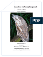 Husbandry Guidelines For Tawny Frogmouth