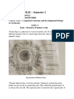 Structure of A Mature Ovum