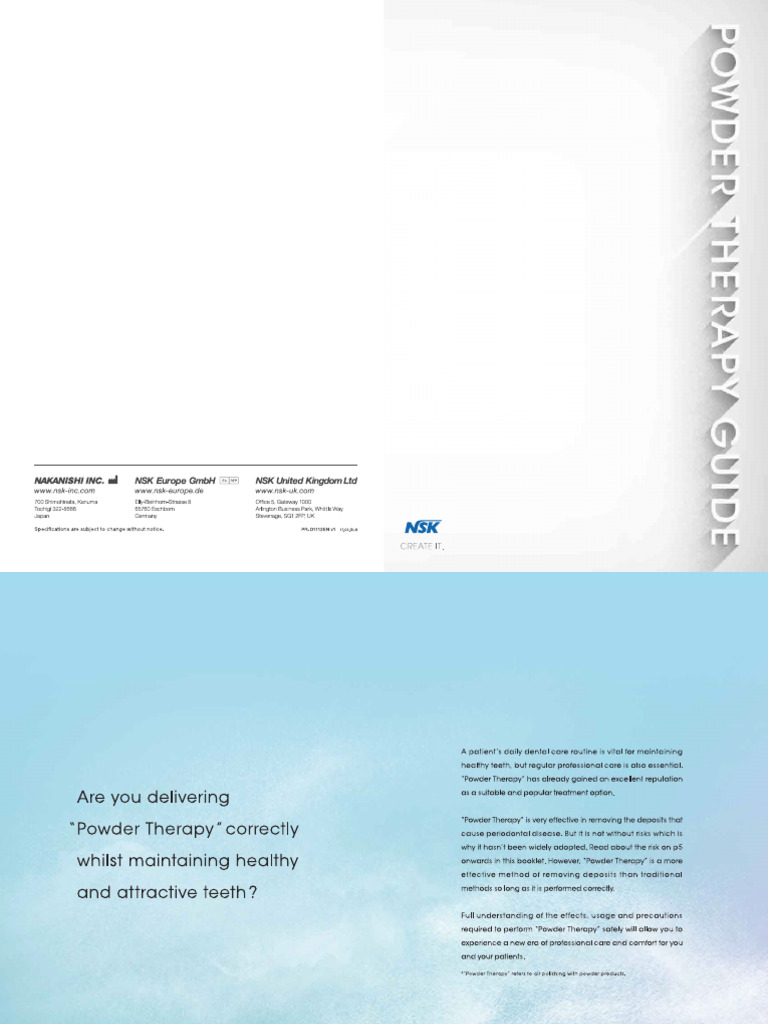 NSK Flash Pearl Powder | PDF