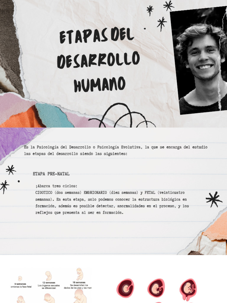 Etapas del Desarrollo Humano | PDF | Adultos | Adolescencia