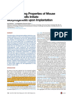 Self-Organizing Properties of Mouse Pluripotent Cells Initiate Morphogenesis Upon Implantation