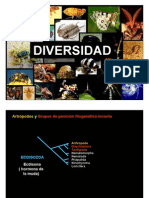 ARTROPODOS_Diversidad