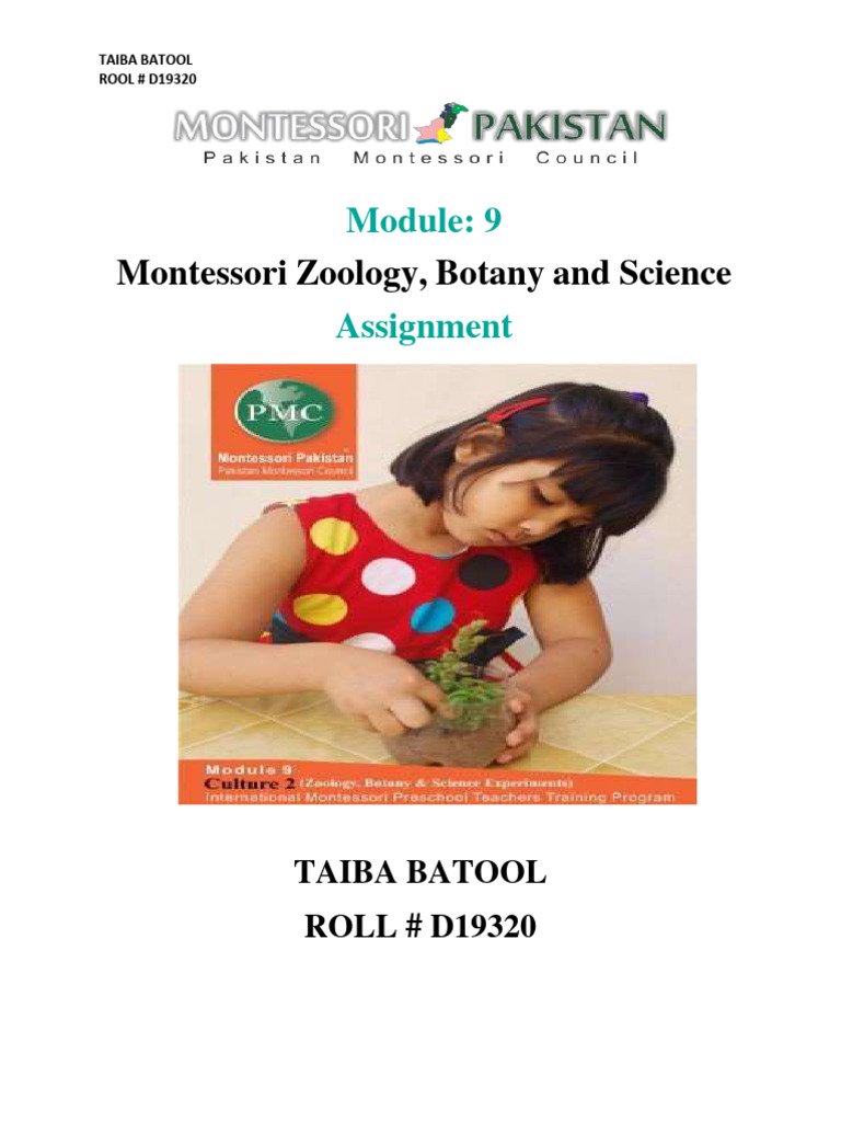 Module 9 Assignments Taiba Batool D19320 | PDF | Vertebral Column | Reptile