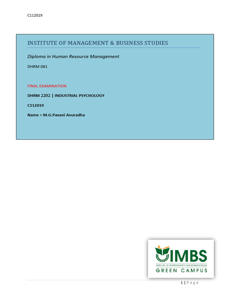 C112019 IP Final Assignment | PDF