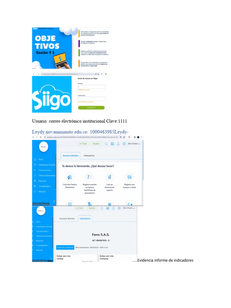 Actividad SIGGo | PDF | Informática | Software