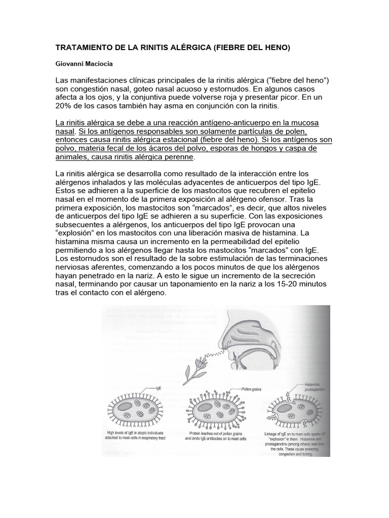 Maciocia Tratamiento de La Rinitis Alergica | PDF | Alergia | Medicina ...
