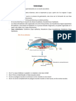 Embriología