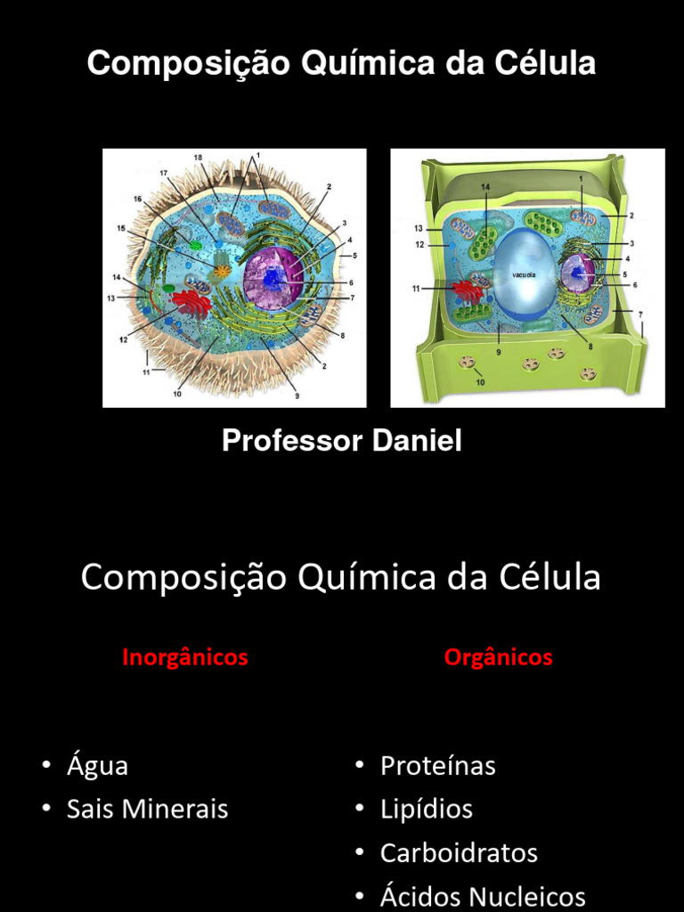 Composição Química Da Célula | PDF | Carboidratos | Membrana celular
