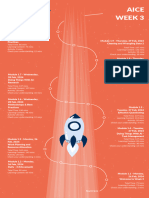 AiCE Week 3 Roadmap