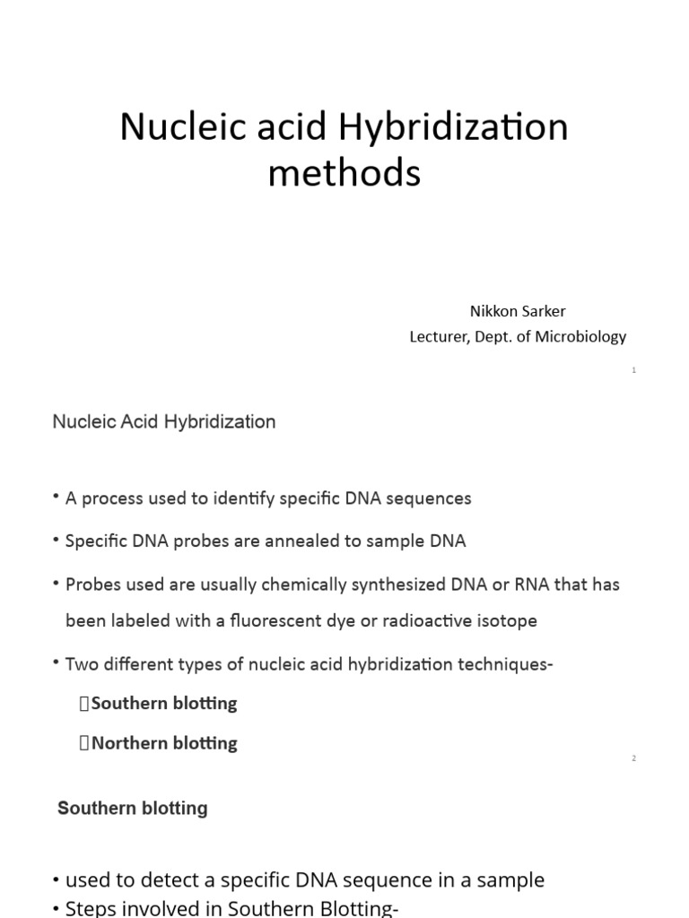 NUCLEIC ACID HYBRIDIZATION PDF visual data 3