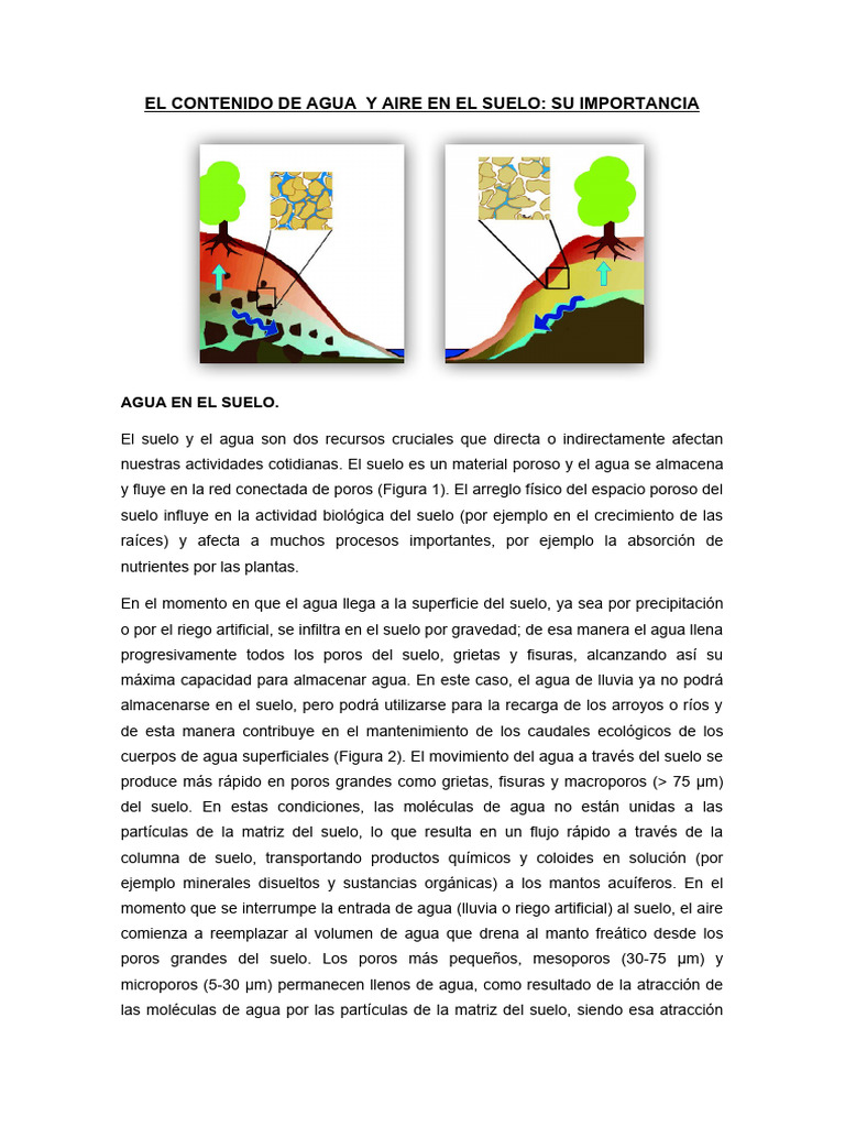 Importancia del Agua y Aire en el Suelo | PDF | Agua | Suelo