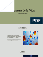 Esquema de La Vida