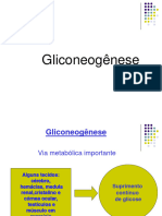 Aula 2 - Gliconeogenese