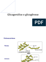 Aula 3 - Glicogenolise e Glicogenese