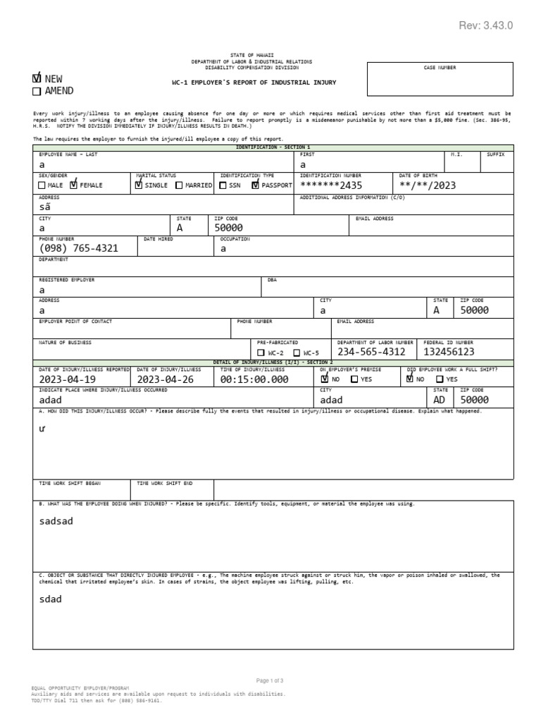 WC-1 Submitted Template - a0i53000001Du92AAC | PDF | Employment | Injury