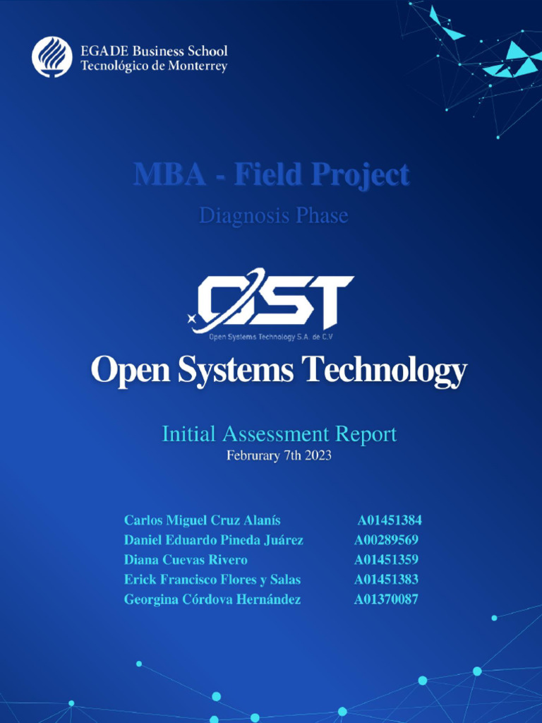 Team 2 - Initial Assessment Report | PDF | Sales | Cloud Computing