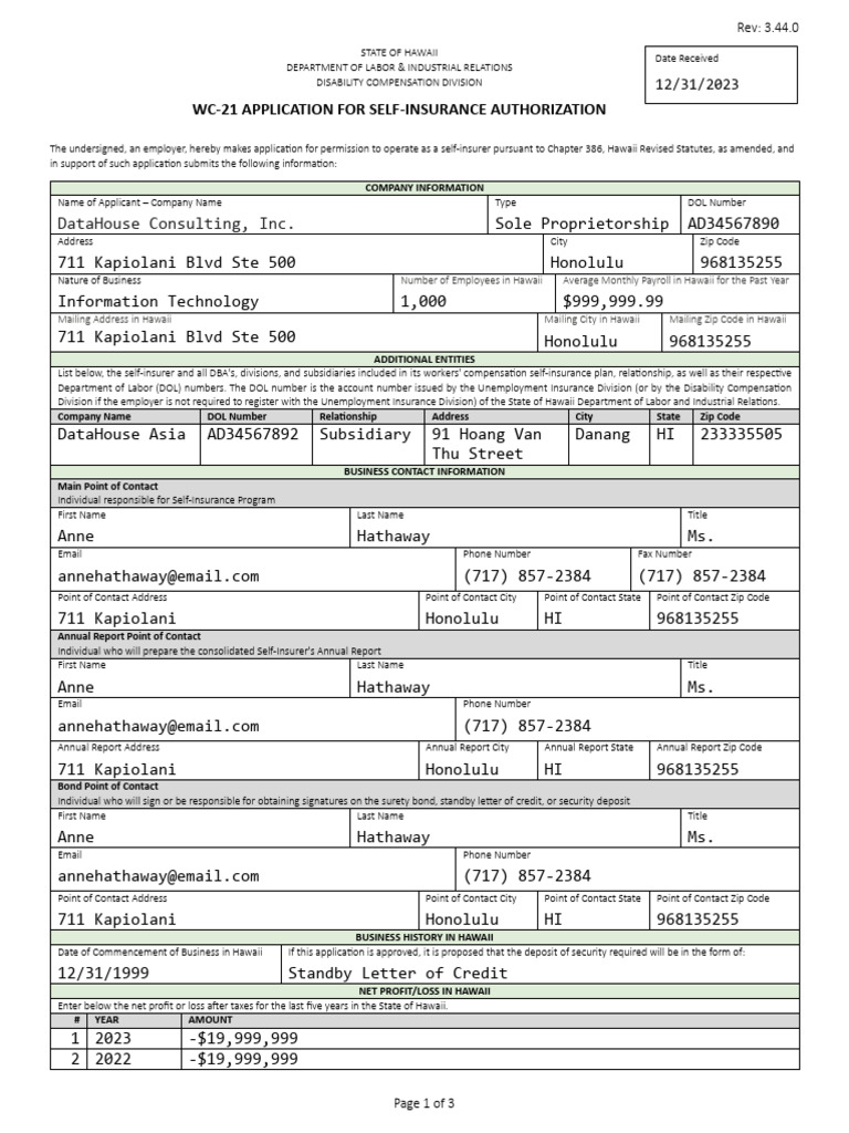 Hawaii Self-Insurance Application Form | PDF