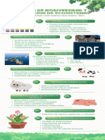 Infografia Consejos y Recomendaciones Acuarela Botánico Verde