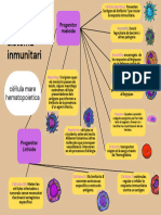 Mapa Conceptual Celulas Sanguinias