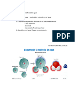 Estructura y Propiedades Agua