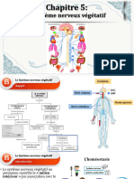 Le Système Nerveux Végétatif