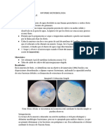 Informe Microbiologia 3 Aldo Ivan