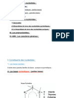 Structure Et Metabolisme Des Nucleotides A