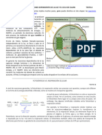 Textos para El Examen