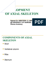 11.development of Axial Skeleton