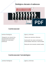 Cambios fisiológicos durante el embarazo