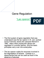 10 - Lac-Operon