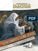 Encontros Com Jesus a Experiência de Personagens Do Novo Testamento Impactados Pelo Encontro Com Jesus (Publicações, Didaquê) (Z-Library)