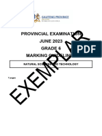 GR 6 NST (English) June 2023 Possible Answers