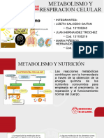 Morfofisiologia Presentacion