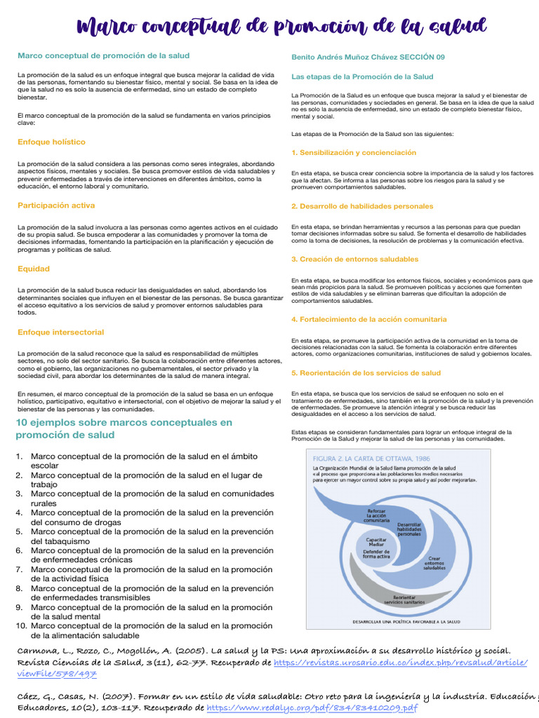 Marco Conceptual Promoción Salud | PDF | Promoción de la salud