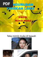 Emosi-(mimik muka)