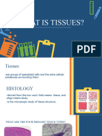 Tissue and Histology