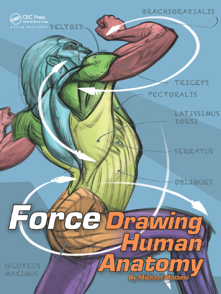 FORCE - Drawing Human Anatomy - 1E (2016) - Español | PDF | Fuerza ...