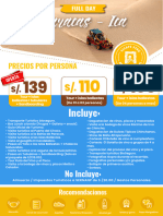 Full Day Paracas Ica